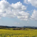 Vulkaneifel Tettscheid