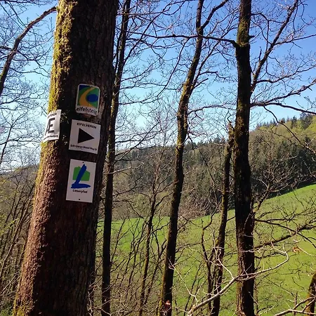 Apartman Vulkaneifel