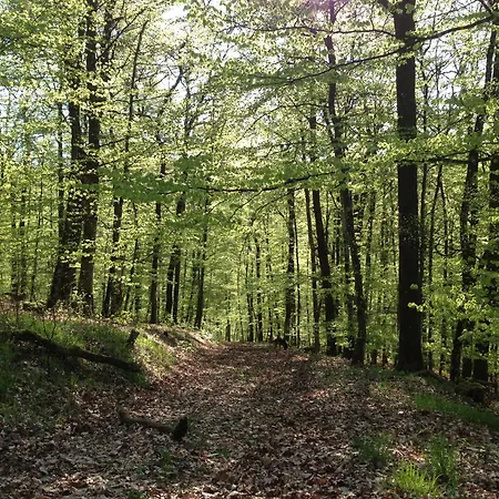 Vulkaneifel