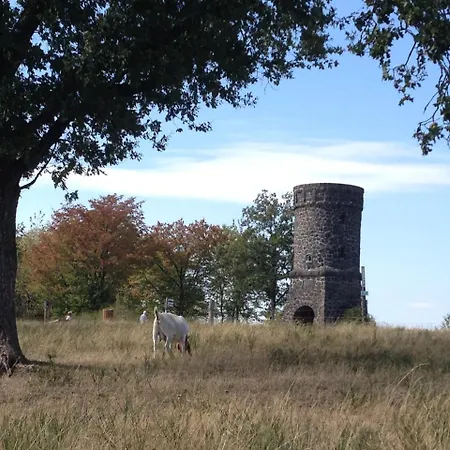 Vulkaneifel Lejlighed *