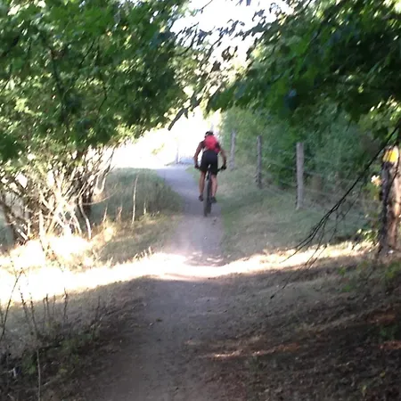 Vulkaneifel Tettscheid