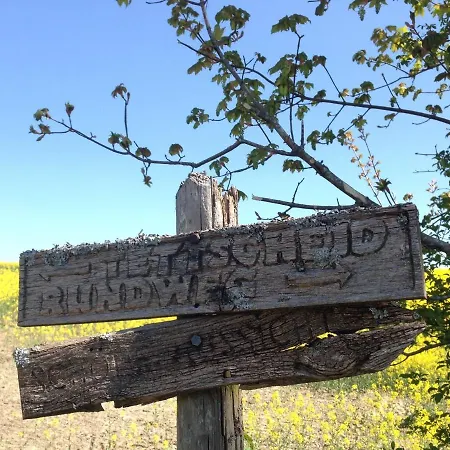 Apartman Vulkaneifel Tettscheid