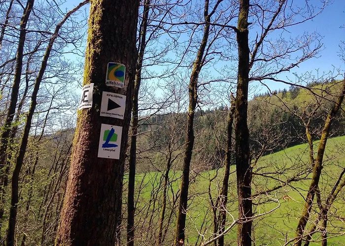 Apartament Vulkaneifel