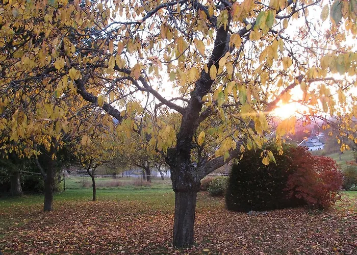 Apartament Vulkaneifel Tettscheid