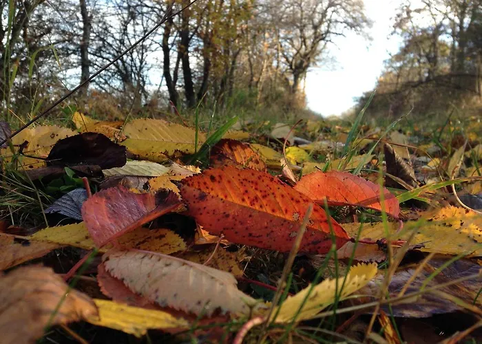 Vulkaneifel Apartament *