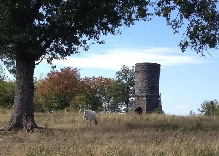 Vulkaneifel Apartament *