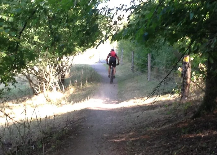 Vulkaneifel Tettscheid